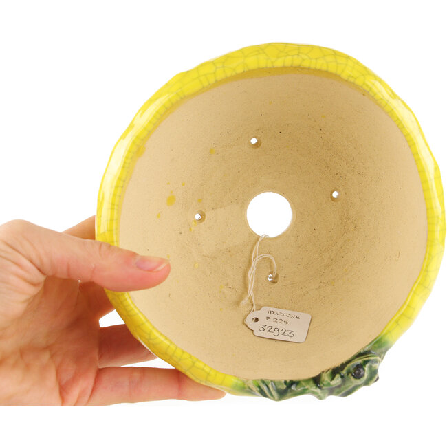 Pot à bonsaï rond jaune de Masashi Furumoto - 140 x 140 x 80 mm