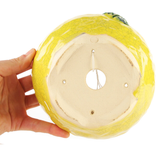 Pot à bonsaï rond jaune de Masashi Furumoto - 140 x 140 x 80 mm