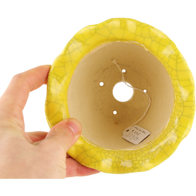 Vaso bonsai rotondo giallo di Masashi Furumoto - 120 x 120 x 90 mm