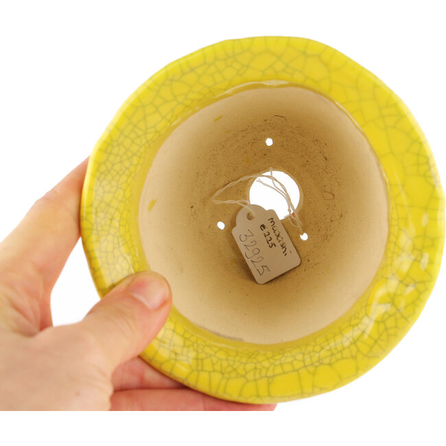Round yellow bonsai pot by Masashi Furumoto - 115 x 115 x 85 mm