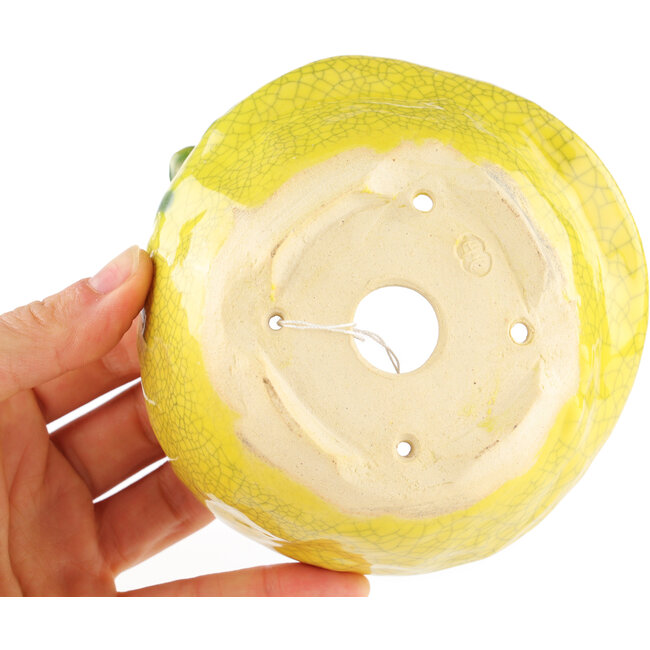 Maceta redonda amarilla para bonsái de Masashi Furumoto - 115 x 115 x 45 mm