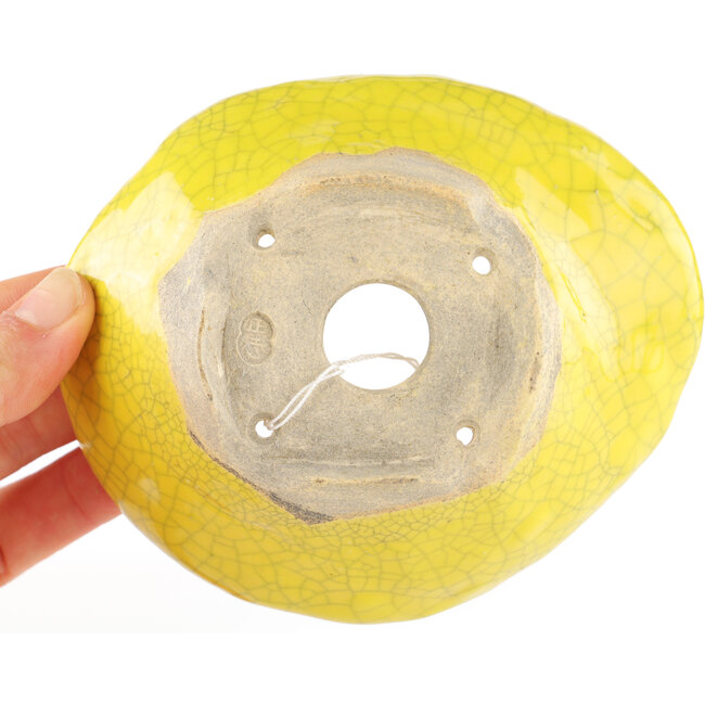Round yellow bonsai pot by Masashi Furumoto - 117 x 100 x 45 mm
