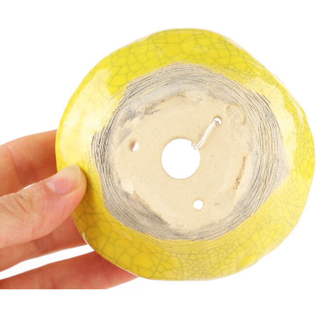 Pot à bonsaï rond jaune de Masashi Furumoto - 90 x 90 x 50 mm