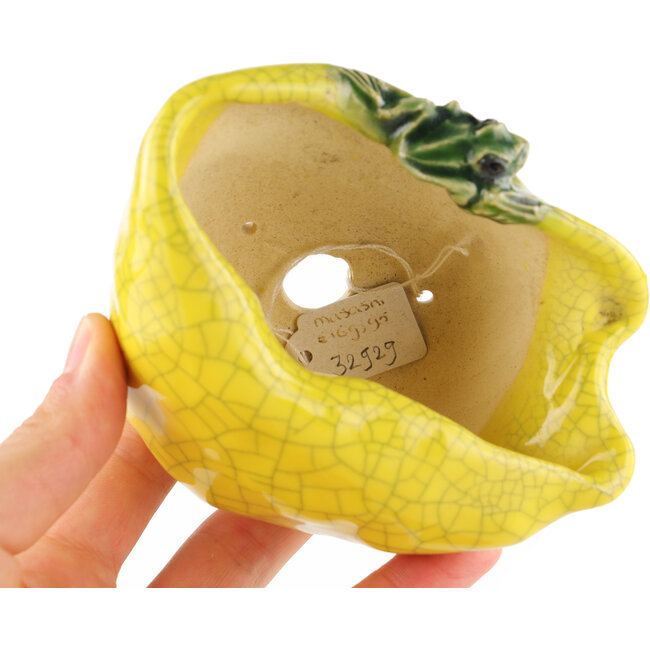 Runder gelber Bonsai-Topf von Masashi Furumoto - 113 x 85 x 50 mm