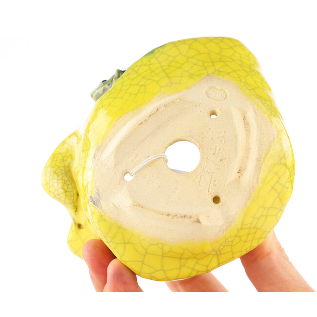 Maceta redonda amarilla para bonsái de Masashi Furumoto - 113 x 85 x 50 mm