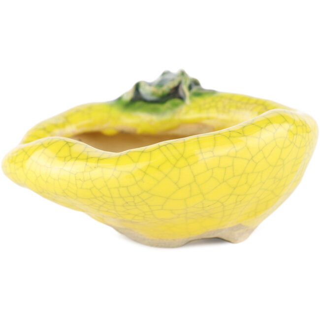 Vaso bonsai rotondo giallo di Masashi Furumoto - 100 x 95 x 45 mm