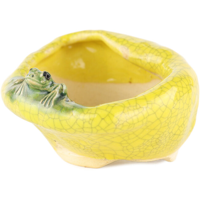 Vaso bonsai rotondo giallo di Masashi Furumoto - 105 x 85 x 55 mm