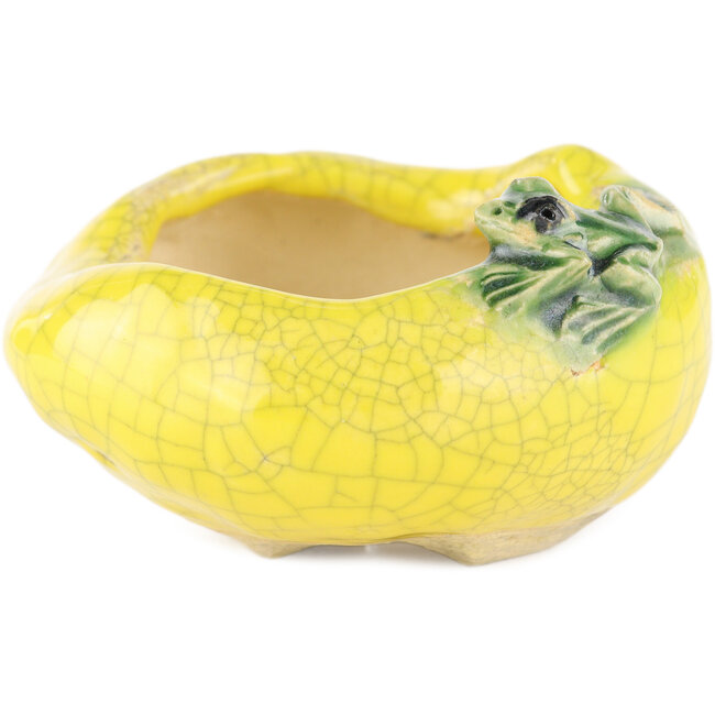 Maceta redonda amarilla para bonsái de Masashi Furumoto - 80 x 80 x 45 mm