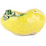 Vaso bonsai rotondo giallo di Masashi Furumoto - 80 x 80 x 45 mm