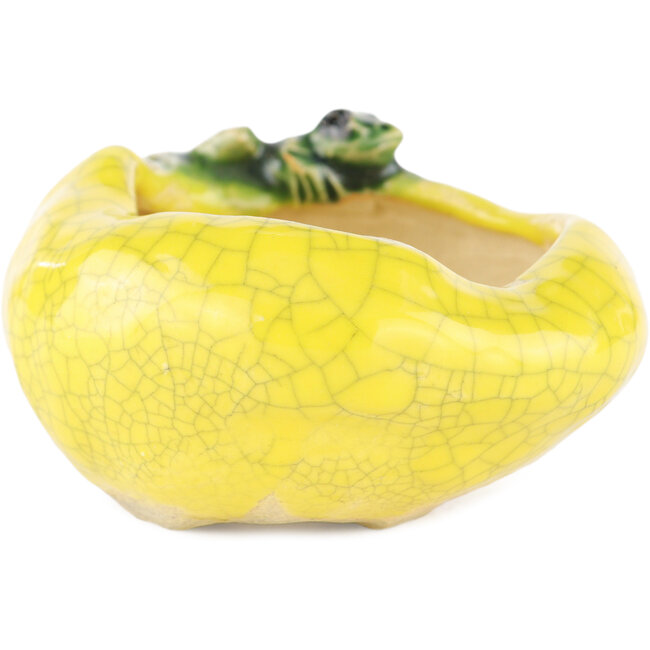 Pot à bonsaï rond jaune de Masashi Furumoto - 80 x 80 x 45 mm