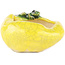 Vaso bonsai rotondo giallo di Masashi Furumoto - 80 x 80 x 45 mm