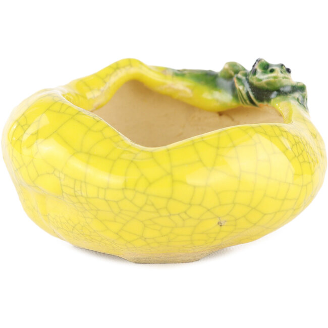 Round yellow bonsai pot by Masashi Furumoto - 80 x 80 x 45 mm