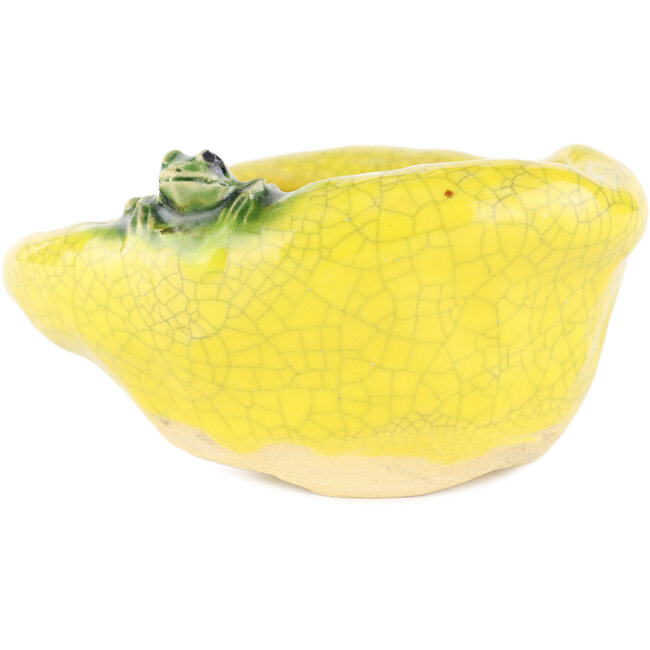 Vaso bonsai rotondo giallo di Masashi Furumoto - 115 x 95 x 55 mm