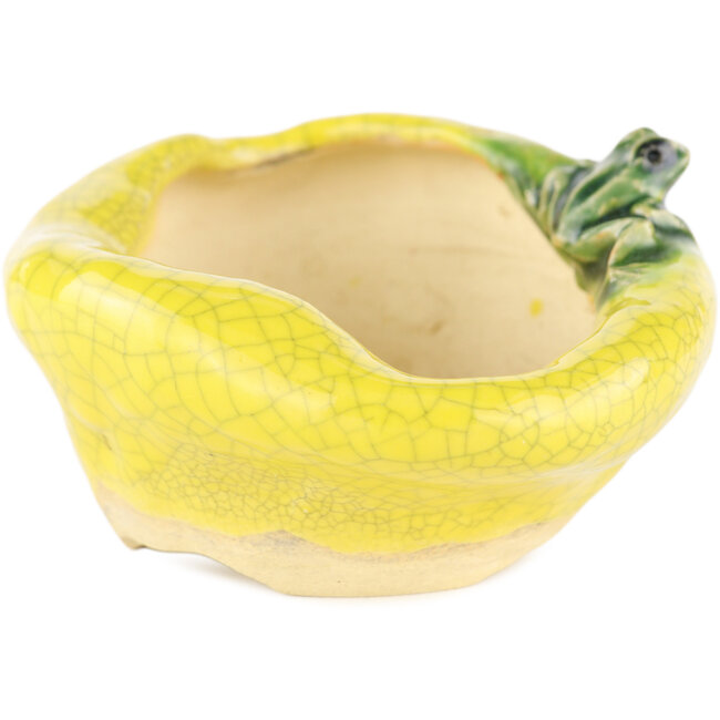Round yellow bonsai pot by Masashi Furumoto - 115 x 95 x 55 mm