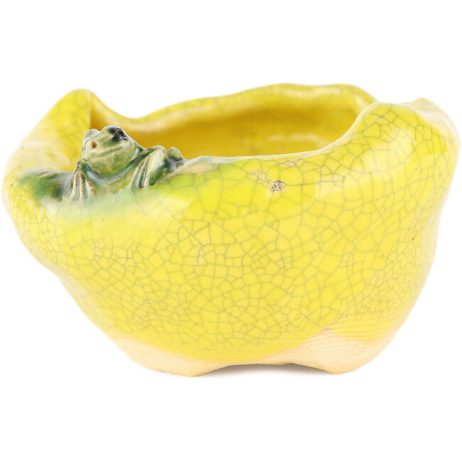 Vaso bonsai rotondo giallo di Masashi Furumoto - 100 x 100 x 50 mm