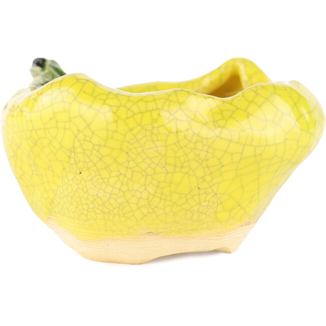 Round yellow bonsai pot by Masashi Furumoto - 100 x 100 x 50 mm