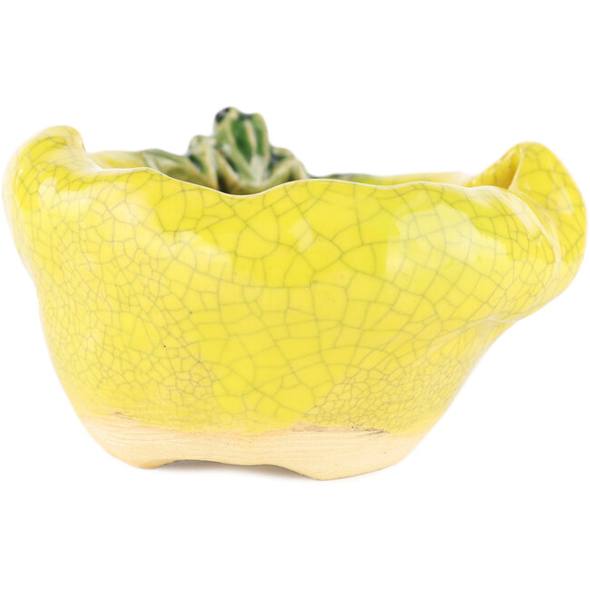 Round yellow bonsai pot by Masashi Furumoto - 100 x 100 x 50 mm