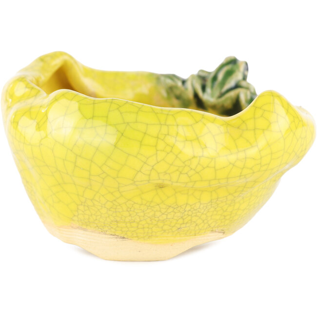 Pot à bonsaï rond jaune de Masashi Furumoto - 100 x 100 x 50 mm