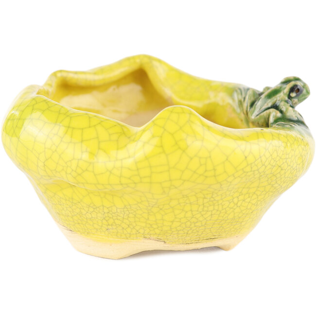 Round yellow bonsai pot by Masashi Furumoto - 100 x 100 x 50 mm