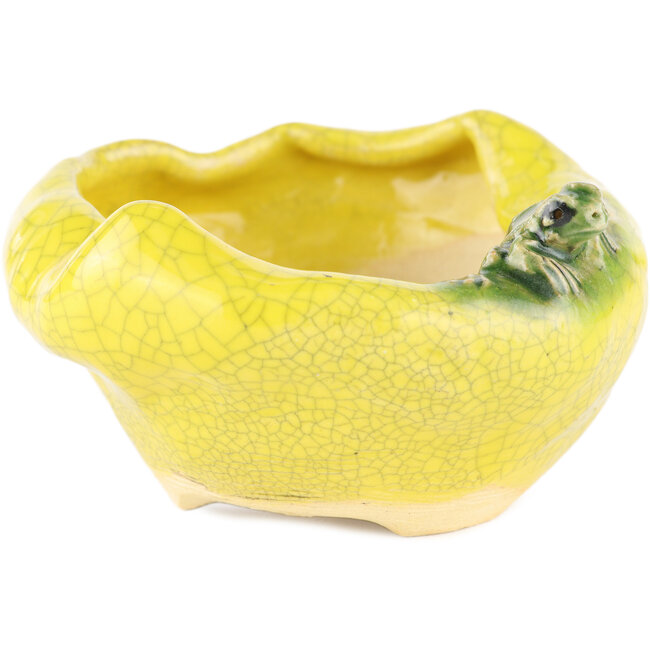 Pot à bonsaï rond jaune de Masashi Furumoto - 100 x 100 x 50 mm