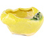 Pot à bonsaï rond jaune de Masashi Furumoto - 100 x 100 x 50 mm
