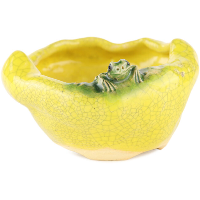 Pot à bonsaï rond jaune de Masashi Furumoto - 100 x 100 x 50 mm