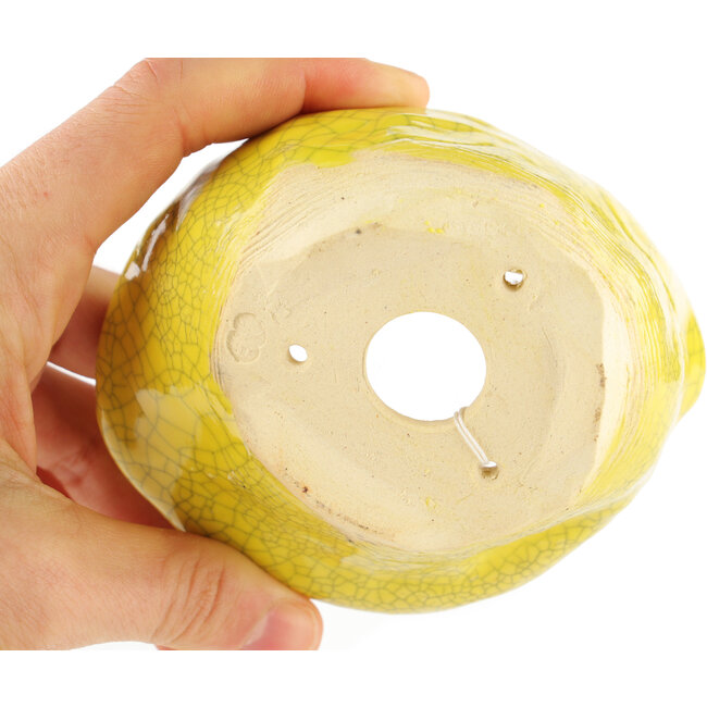 Pot à bonsaï rond jaune de Masashi Furumoto - 105 x 85 x 55 mm