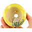 Vaso bonsai rotondo giallo di Masashi Furumoto - 80 x 80 x 45 mm