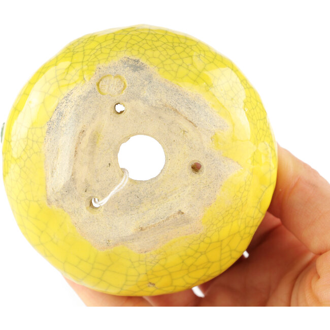 Round yellow bonsai pot by Masashi Furumoto - 80 x 80 x 45 mm