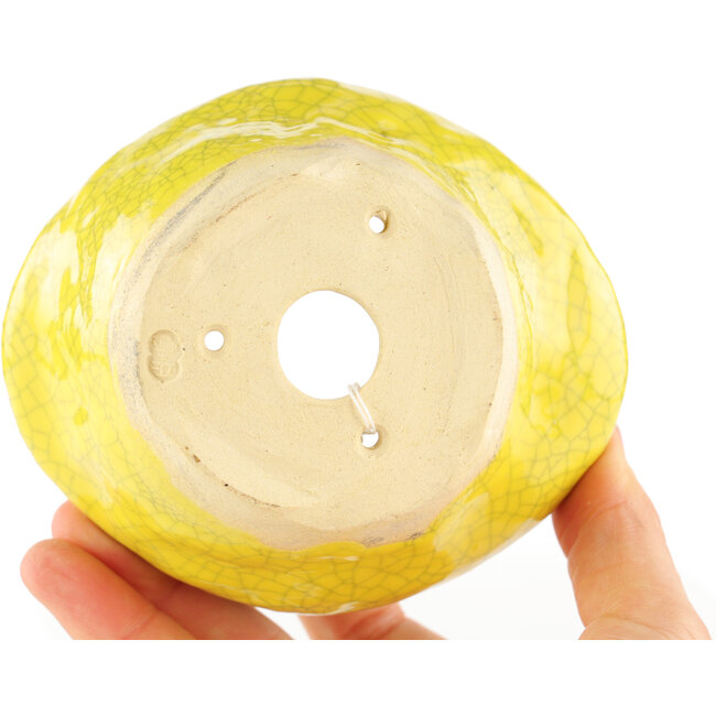 Ronde gele bonsaipot van Masashi Furumoto - 115 x 95 x 55 mm