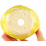 Pot à bonsaï rond jaune de Masashi Furumoto - 115 x 95 x 55 mm