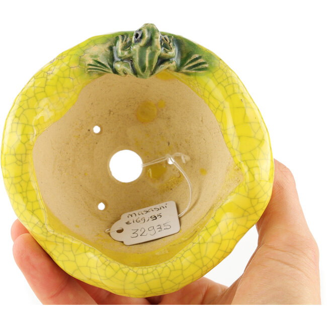 Vaso bonsai rotondo giallo di Masashi Furumoto - 100 x 100 x 50 mm