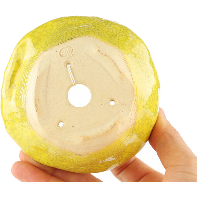 Pot à bonsaï rond jaune de Masashi Furumoto - 100 x 100 x 50 mm