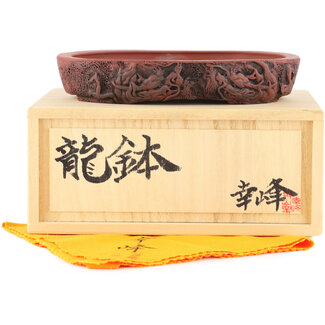  Kakuzan Maceta para bonsái ovalada sin esmaltar de 162 mm de Kakuzan, Tokoname, Japón