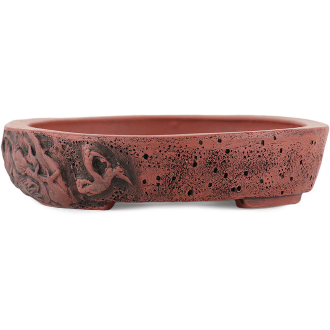 Vaso bonsai ovale non smaltato di Kakuzan - 162 x 127 x 30 mm