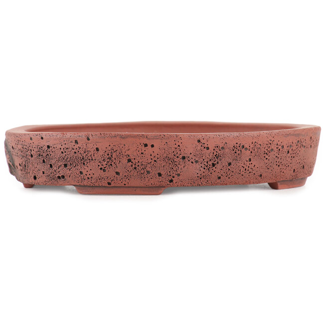 Oval unglazed bonsai pot by Kakuzan - 162 x 127 x 30 mm