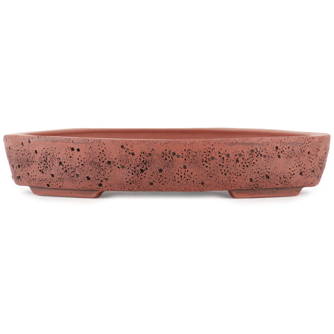 Oval unglazed bonsai pot by Kakuzan - 162 x 127 x 30 mm