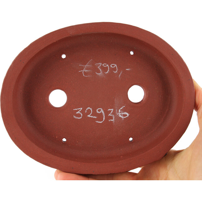 Vaso bonsai ovale non smaltato di Kakuzan - 162 x 127 x 30 mm
