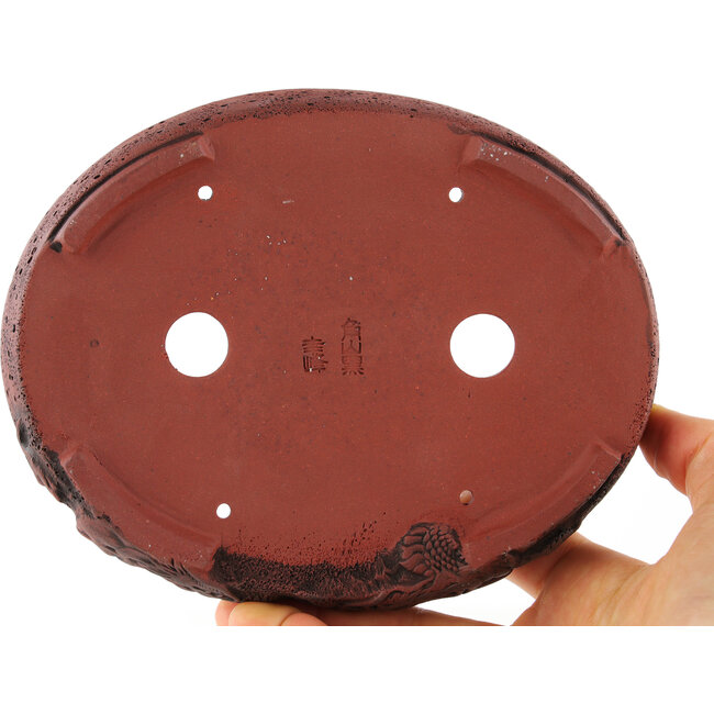 Pot à bonsaï ovale non émaillé de Kakuzan - 162 x 127 x 30 mm