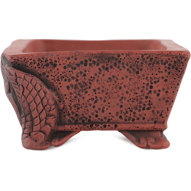 Vaso bonsai rettangolare non smaltato di Kakuzan - 112 x 88 x 47 mm