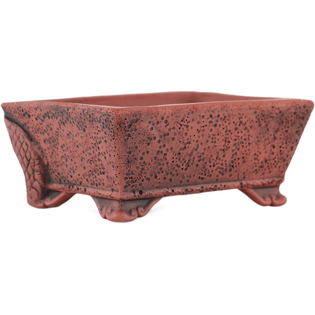 Vaso bonsai rettangolare non smaltato di Kakuzan - 112 x 88 x 47 mm