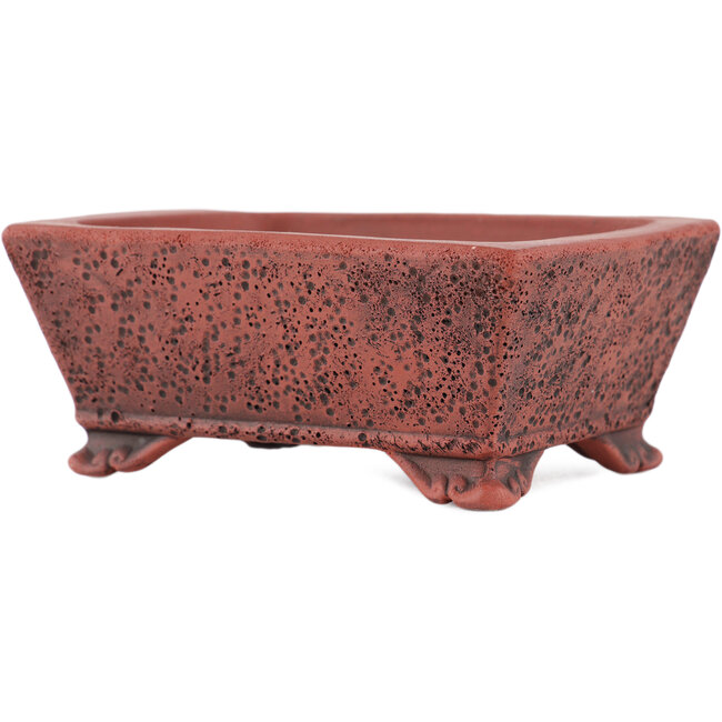 Rectangular unglazed bonsai pot by Kakuzan - 112 x 88 x 47 mm