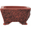 Rectangular unglazed bonsai pot by Kakuzan - 112 x 88 x 47 mm