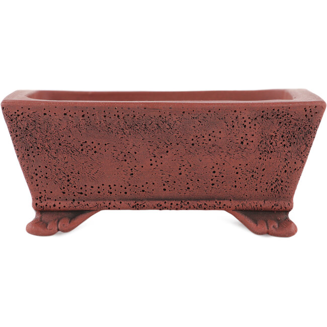 Vaso bonsai rettangolare non smaltato di Kakuzan - 110 x 93 x 45 mm