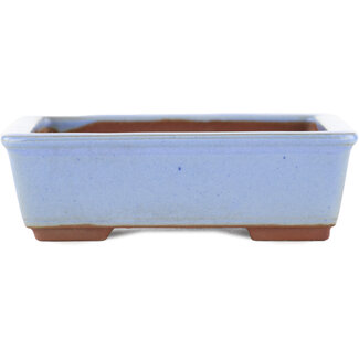  Bunzan Maceta rectangular azul para bonsái de 122 mm de Bunzan (Seto), Seto, Japón