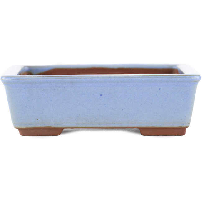 Maceta rectangular azul para bonsái de Bunzan (Seto) - 122 x 97 x 37 mm