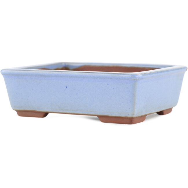 Vaso bonsai rettangolare blu di Bunzan (Seto) - 122 x 97 x 37 mm