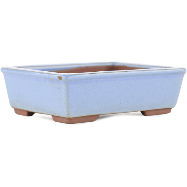 Pot à bonsaï rectangulaire bleu de Bunzan (Seto) - 122 x 97 x 37 mm