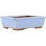 Maceta rectangular azul para bonsái de Bunzan (Seto) - 122 x 97 x 37 mm