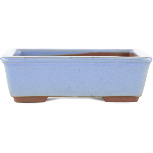 Pot à bonsaï rectangulaire bleu de Bunzan (Seto) - 122 x 97 x 37 mm